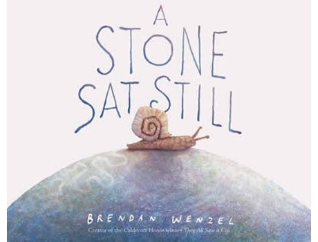 Livro A Stone Sat Still de Brendan Wenzel (Inglês)