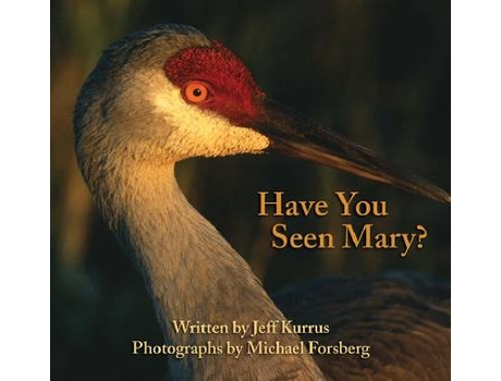 Livro have you seen mary? de jeff kurrus (inglês)