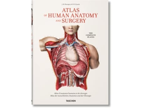 Livro Bourgery Atlas of Human Anatomy and Surgery de JeanMarie Le Minor Henri Sick (Alemão)