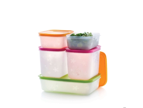 Conjunto 5 Caixas Congelação 450Ml 1 1L e 1L Freezer Mates TUPPERWARE