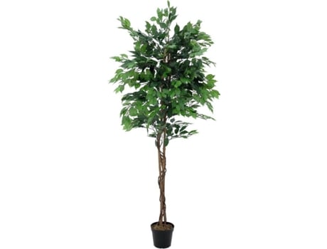 Planta Artificial EUROPALMS Ficus Multi-Trunk (Verde - 210 cm)