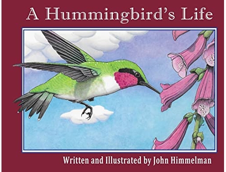 Livro A Hummingbirds Life de John Himmelman (Inglês)