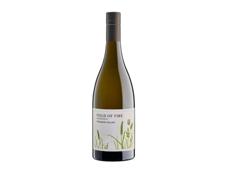 Vinho branco PYRAMID VALLEY Field of Fire Chardonnay North Canterbury (0.75 L - 1 Unidade)