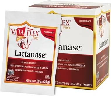 Vita Flex Pro Lactanase  Optimal muscle function