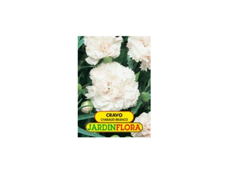 Sementes JARDIN FLORA Cravo Chabaud Branco