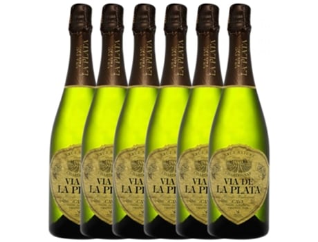 Espumante VÍA DE LA PLATA Vía De La Plata Chardonnay Brut Nature Cava (0.75 L - 6 unidades)