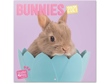 Calendário  Studio Pets Bunny (2021 - 30 x 30 cm)