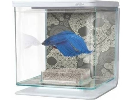 Aquário para Peixes  Kit para Bettas (Transparente - 2L)