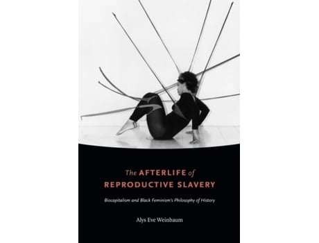 Livro the afterlife of reproductive slavery de alys eve weinbaum (inglês)