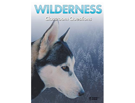 Livro Wilderness Classroom Questions de Amy Farrell (Inglês)