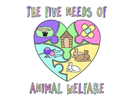 Livro The Five Needs of Animal Welfare de Nicola Gothard (Inglês)