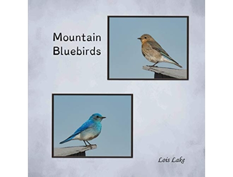 Livro Mountain Bluebirds de Lois Lake (Inglês)