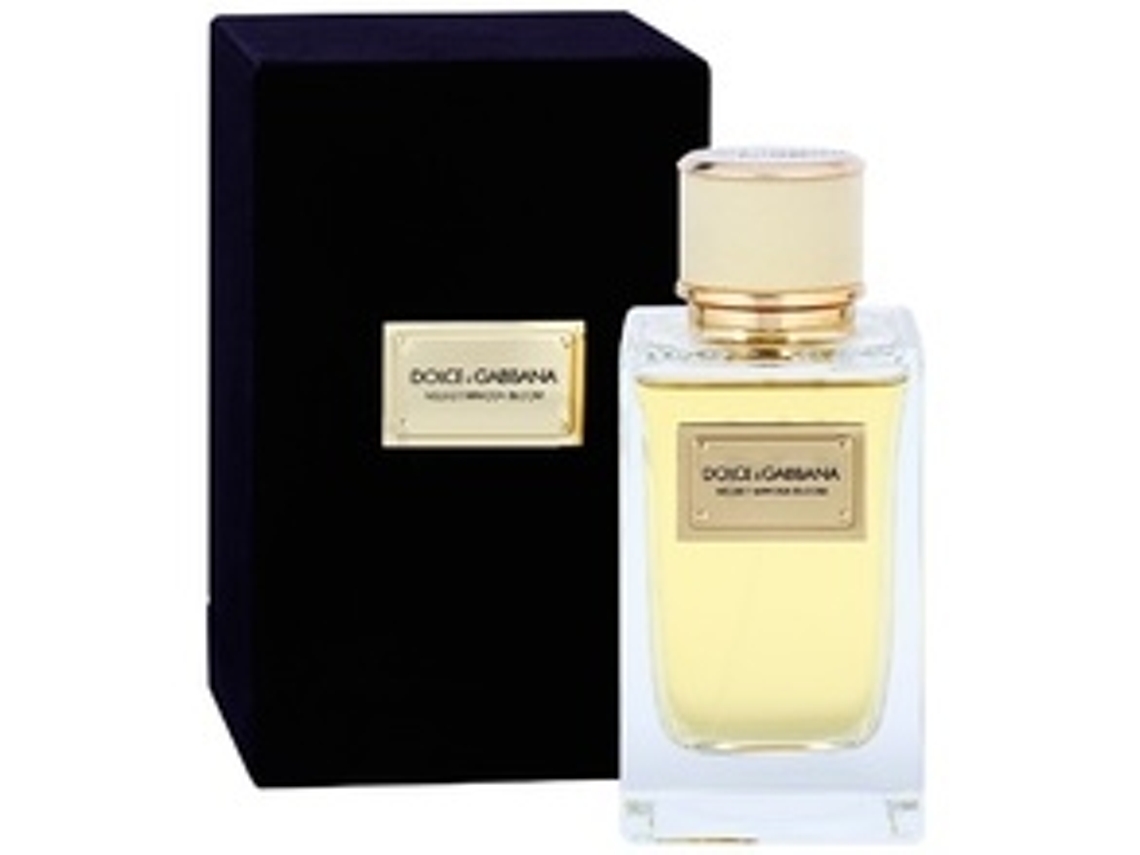 DOLCE GABBANA Velvet Mimosa Bloom Edp 50Ml Worten.pt