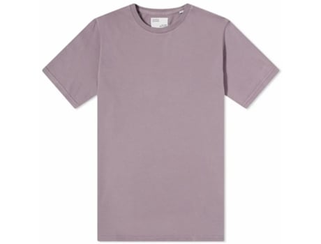 T-shirt para Unisexo COLORFUL STANDARD (M - Algodão - Roxo)