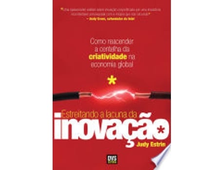 Livro ESTREITANDO A LACUNA DA INOVAÇÃO de ESTRIN, JUDY (Português do Brasil)