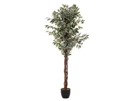 Árvore Ficus Verde Escuro 180Cm FACTORY CUADROS