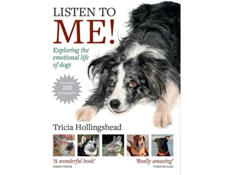 Livro Listen To Me! de Patricia Hollingshead (Inglês)