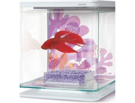 Aquário para Peixes  Kit para Bettas (Rosa - 15cm - Plástico - 2L)