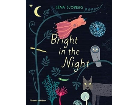 Livro bright in the night de lena sjoeberg (inglês)