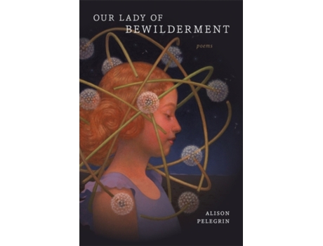 Livro our lady of bewilderment de alison pelegrin,ava leavell haymon (inglês)