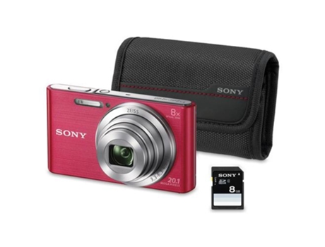 Sony iniciar sessão