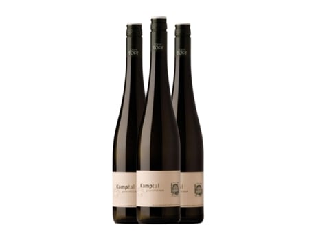 Vinho branco JOHANN TOPF Grüner Veltliner Kamptal (0.75 L - 3 Unidades)