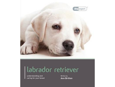 Livro labrador - dog expert de ann britton (inglês)