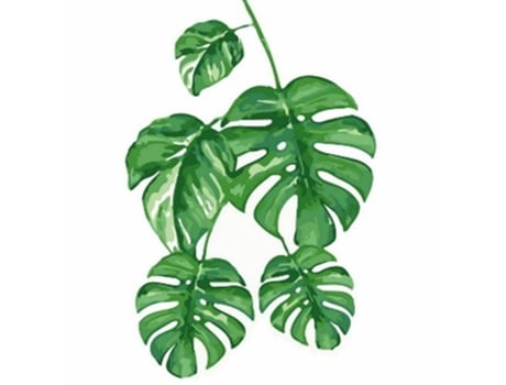 Pintar com Números FIGURED'ART com Moldura 20X20Cm Folhas de Monstera Sfa072-Y