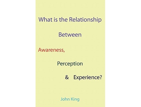 Livro What is the Relationship Between Awareness Perception Experience de John King (Inglês)