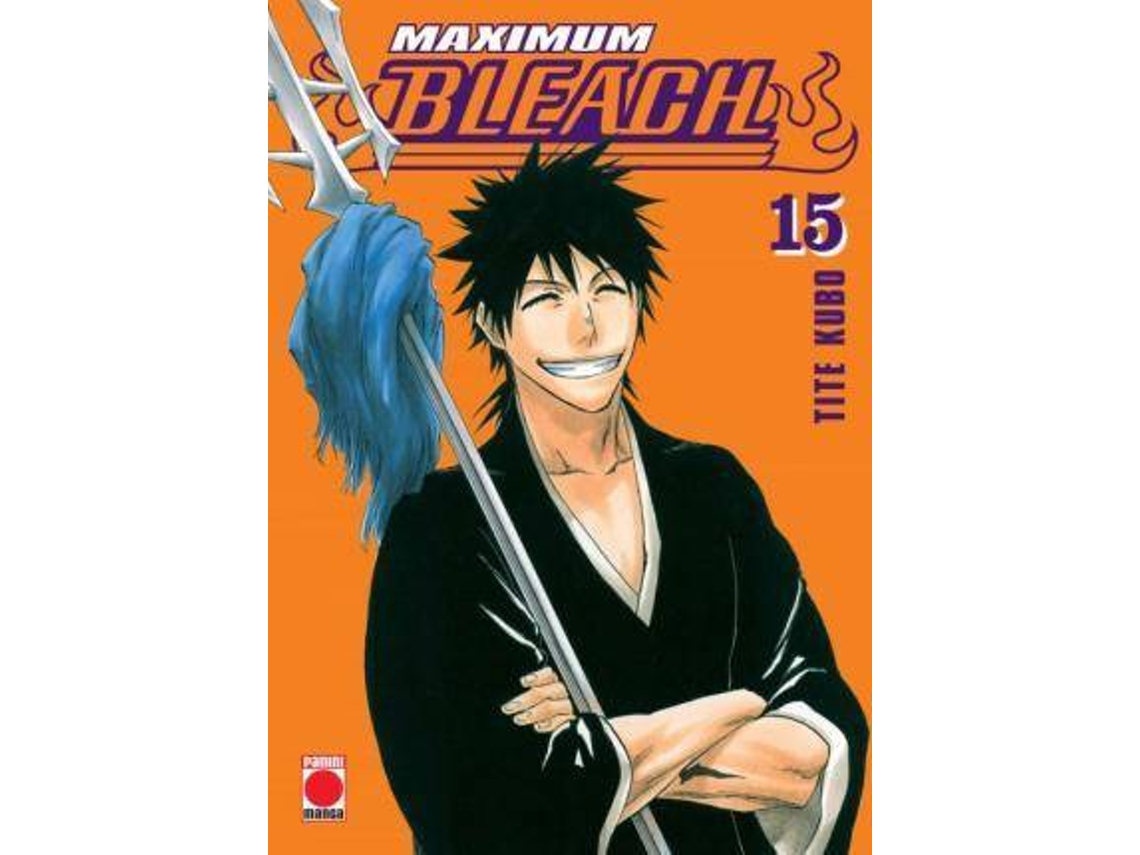 Bleach - volume 15