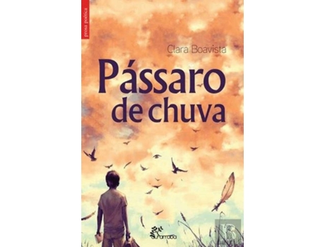 Livro Passaro De Chuva de Clara Boavista (Portugués)