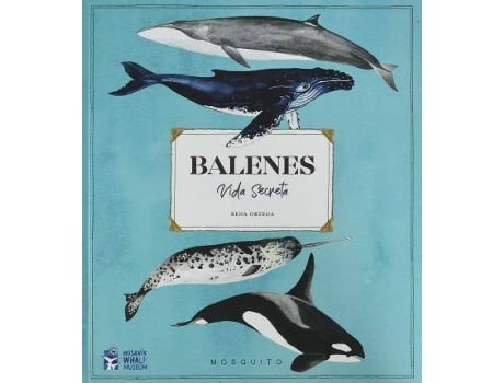 Livro Balenes. Vida secreta de Ilustrado por Rena Ortega (Catalão)