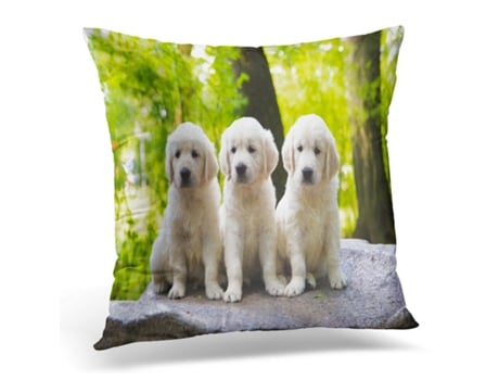 Fronha de Almofada ECZJNT Bebês Verde Adorável Cachorro Golden Retriever Posando Ao Ar Livre Branco Beleza (40x40 cm)