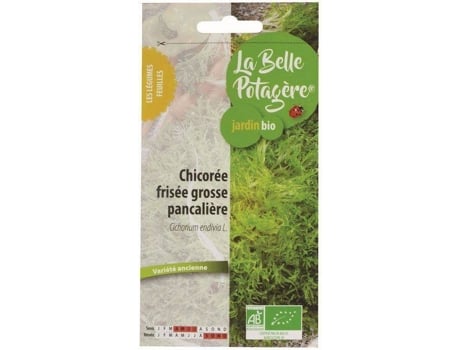 Salada Frisee Panqueca Grande LA BELLE POTAGÍRE 0,5 G