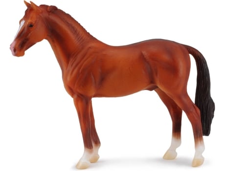 Figura  Hanoverian Castanha