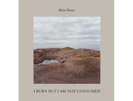 Livro I Burn But Am Not Consumed de Alicia Bruce (Inglês - Capa Dura)