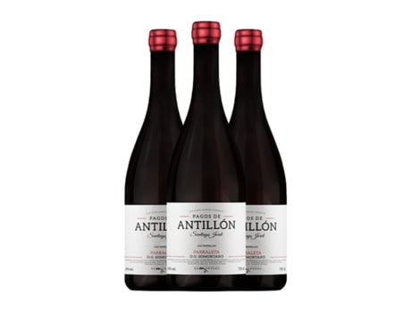 Vinho THE WINE HUNTER Pagos de Antillón Parraleta Somontano (0.75 L - 3 Unidades)