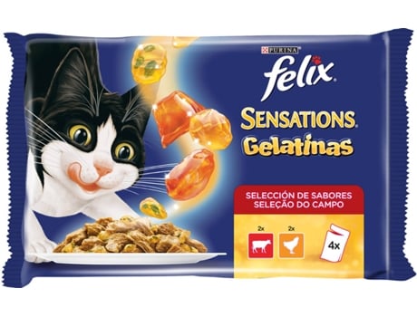 Rações para Gatos  (4 Un - 100g - Sabor: Carne)