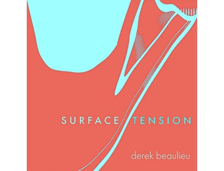 Livro Surface Tension de Derek Beaulieu (Inglês)