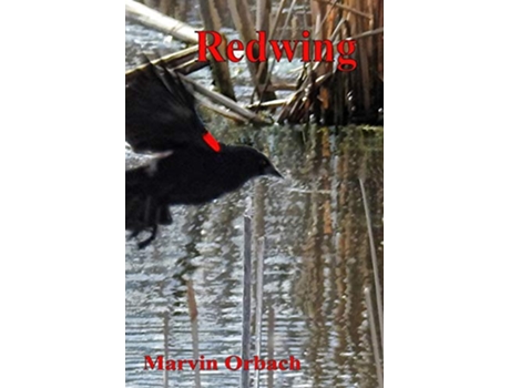 Livro Redwing Poems by Marvin Orbach de Marvin Orbach (Inglês)