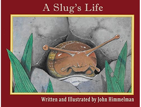 Livro A Slugs Life de John Himmelman (Inglês)