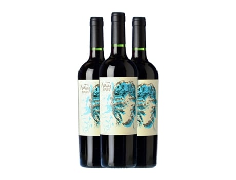 Vinho CASIR DOS SANTOS Avatar Malbec Mendoza (0.75 L - 3 Unidades)