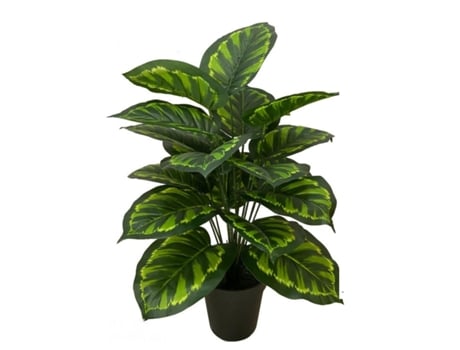 Planta Tricolor 70Cm FACTORY CUADROS