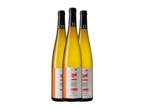 Vinho branco BOTT-GEYL Les Éléments Mascate Alsace (0.75 L - 3 Unidades)