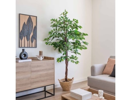 Planta Ficus Lennon 180Cm CASIKA