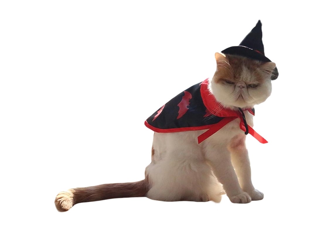 Fantasia De Feiticeiro De Gato De Halloween Roupa De Fantasia De Animal De  Estimação Para Gatinho Filhote De Halloween ELKUAIE S/M/L/XL | Worten.pt