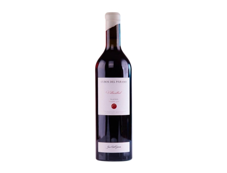 Vinho JOSÉ ANTONIO GARCÍA Cubos del Páramo Villacalbiel Prieto Picudo Tierra de León (0.75 L - 1 Unidade)