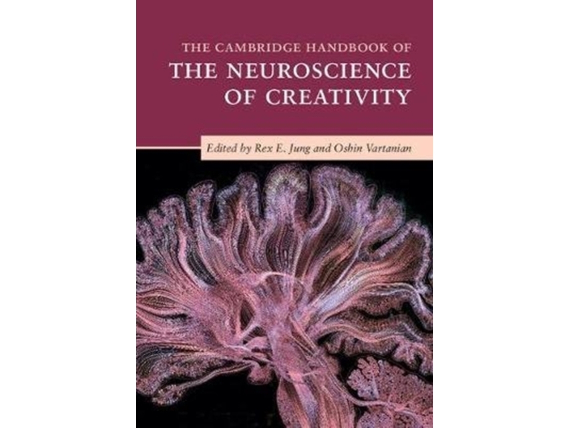 Livro The Cambridge Handbook Of The Neuroscience Of Creativity De Rex E ...