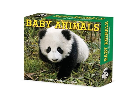 Livro Baby Animals 2024 6.2 X 5.4 Box Calendar de Willow Creek Press (Inglês)