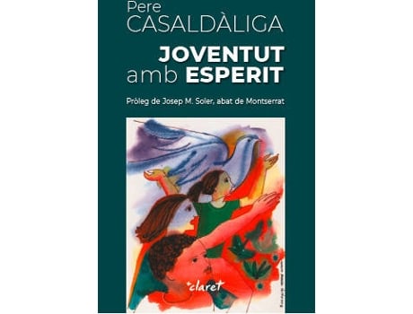 Livro Joventut Amb Esperit de Pere Casaldàliga Pla (Português)